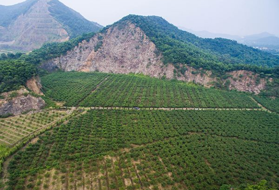 讓綠色成為礦業發展的主基調